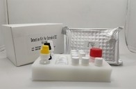Xét nghiệm chẩn đoán huyết tương huyết thanh Igg Elisa Kit cho kháng nguyên lõi viêm gan B