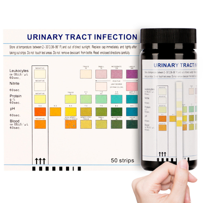 Que thử nhiễm trùng đường tiết niệu Invbio chính xác 50 dải / chai