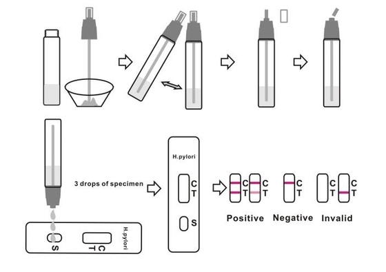 Các bệnh truyền nhiễm H Pylori Bộ xét nghiệm phân Helicobacter Pylori Kháng nguyên tức thì