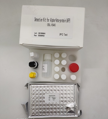 Bộ phát hiện định lượng Alpha Fetoprotein Elisa AFP trong huyết thanh người