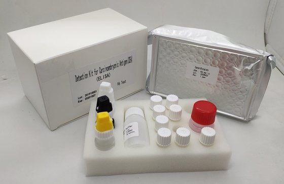 Bộ dụng cụ CEA Elisa có độ nhạy cao Phát hiện Kháng nguyên Carcinoembryonic ở người