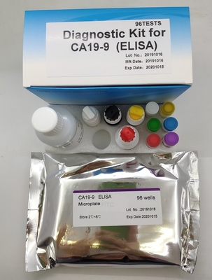 Chẩn đoán y tế Ca19-9 Bộ xét nghiệm Elisa Sandwich xét nghiệm miễn dịch kháng nguyên