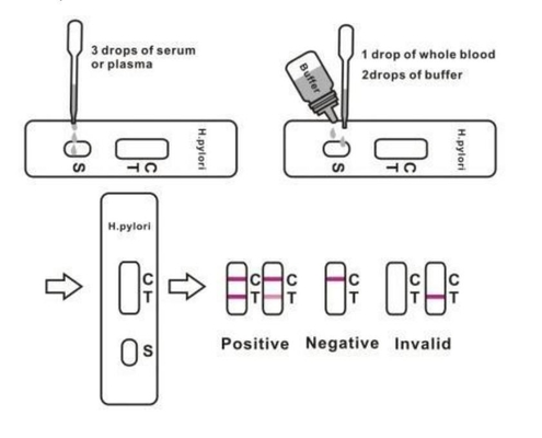 Băng xét nghiệm phân H Pylori phát hiện nhanh kháng thể