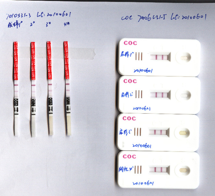 Trang chủ CLO Bộ xét nghiệm lạm dụng ma túy trong nước tiểu Clonazepam 400ng / Ml