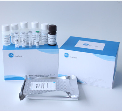 Bộ xét nghiệm Elisa Yếu tố tăng trưởng nhau thai PLGF