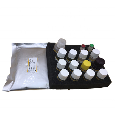 Bộ xét nghiệm Elisa Yếu tố tăng trưởng nhau thai PLGF
